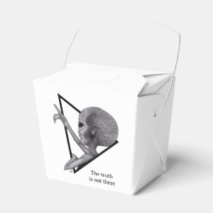 Grey Alien, the truth is out there Favour Box