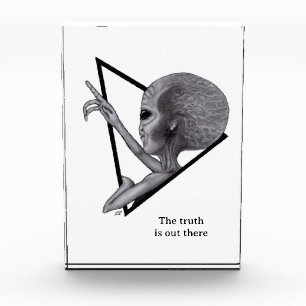 Grey Alien, the truth is out there Photo Block