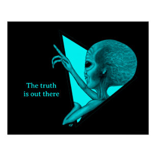 Grey Alien, the truth is out there Poster