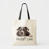 Grey American Staffordshire Terrier Dog - Amstaff