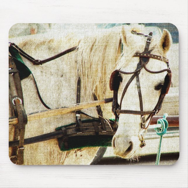 Grey Amish Buggy Horse Mouse Mat (Front)