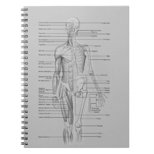 Grey Anatomy Notebook