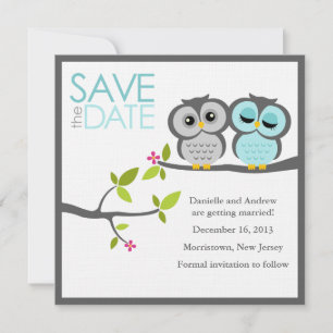 Grey and Aqua Owls Wedding Save the Date
