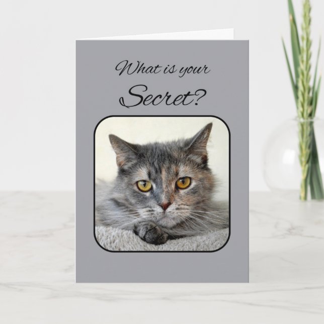 Grey and Orange Tortoiseshell Cat Happy Birthday Card (Front)