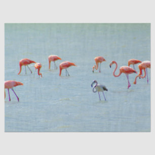 Grey and pink flamingos flock in lake tissue paper