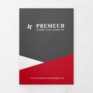 Grey and Red Business Tri Fold Brochure
