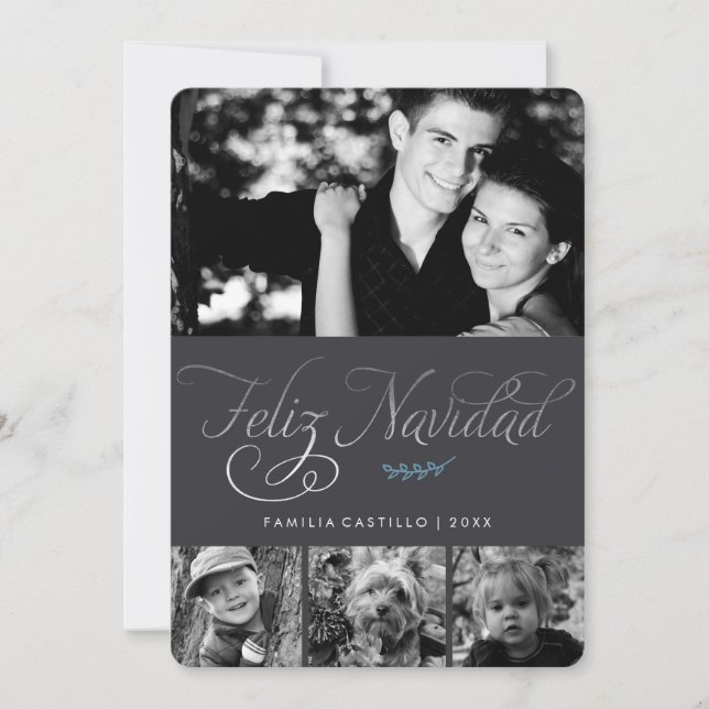 Grey and Silver Feliz Navidad Photo Holiday Card (Front)