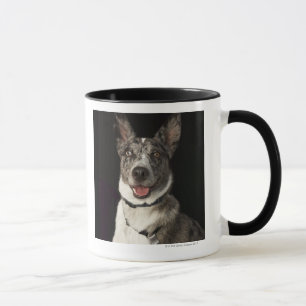 Grey and white Australian Shepherd with harness Mug