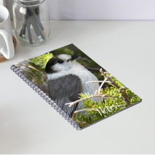Grey and White Canada Jay Photo Notebook