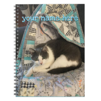 Grey and white cat notebook
