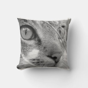 grey and white cat on a green cushion