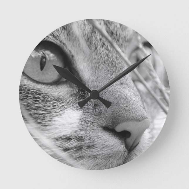 grey and white cat on a green round clock (Front)