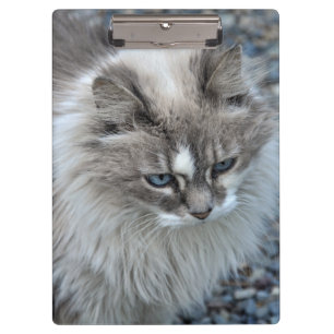 Grey and white fuzzy cat clipboard