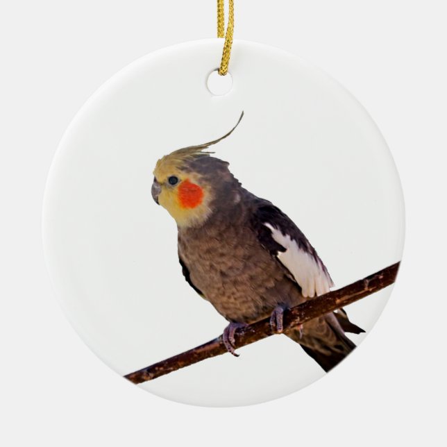 Grey and Yellow Cockatiel Pet Bird Colour Photo Ceramic Tree Decoration (Front)