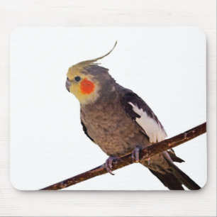 Grey and Yellow Cockatiel Pet Bird Colour Photo Mouse Mat