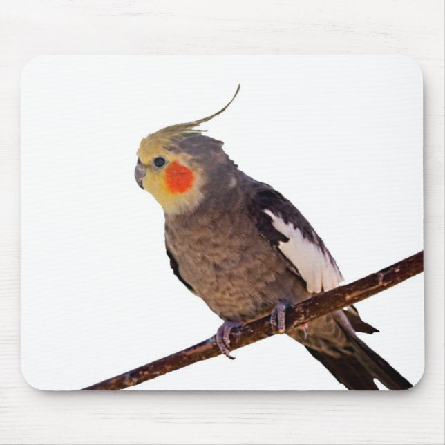 Grey and Yellow Cockatiel Pet Bird Colour Photo Mouse Mat (Front)