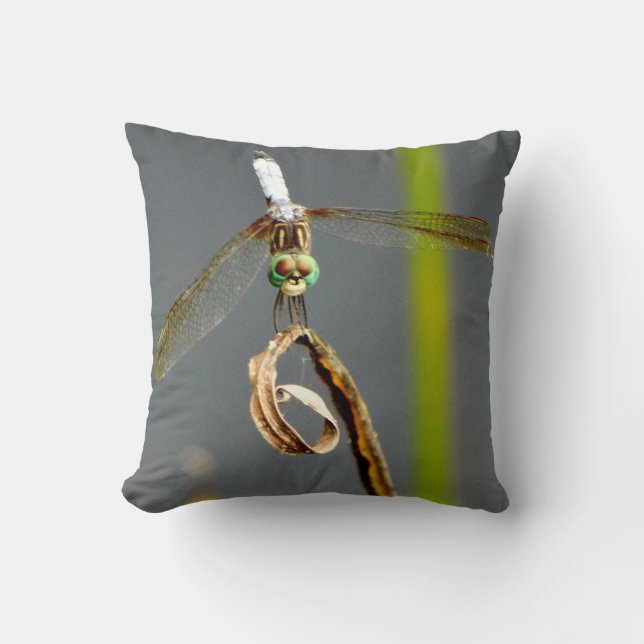 Grey and yellow lime green Pillow teal dragonfly, (Front)