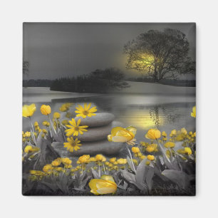 Grey and yellow tulips, daisies with a sunset magnet