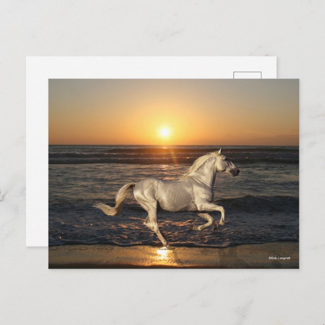 Grey Andalucian Running On Beach By Sea Postcard (Front/Back)