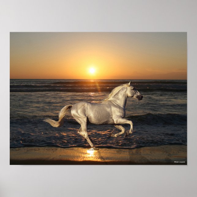 Grey Andalucian Running On Beach By Sea Poster (Front)