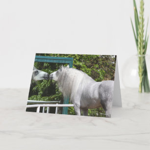Grey Andalucian Stallion Looking In Mirror Card