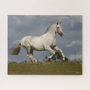 Grey Andalucian Stallion Running against Sky Jigsaw Puzzle