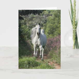Grey Arab Running On Path With Flowers Card