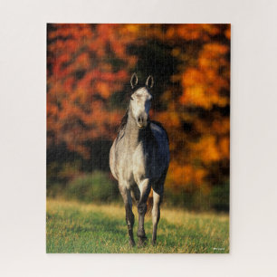 Grey Arab Standing Autumnal Background Jigsaw Puzzle