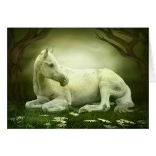 Grey Arabian Horse