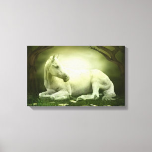 Grey Arabian Horse Canvas Print