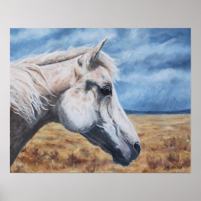 Grey Arabian Horse Fine Art Print (Front)