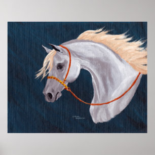 Grey Arabian Horse Portrait Poster