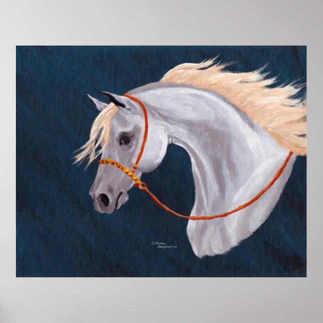 Grey Arabian Horse Portrait Poster (Front)