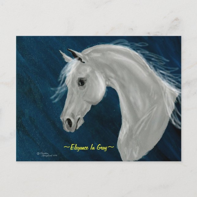 Grey Arabian Horse Postcard (Front)
