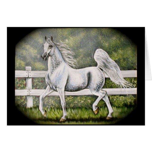 Grey Arabian Horse running (Front Horizontal)