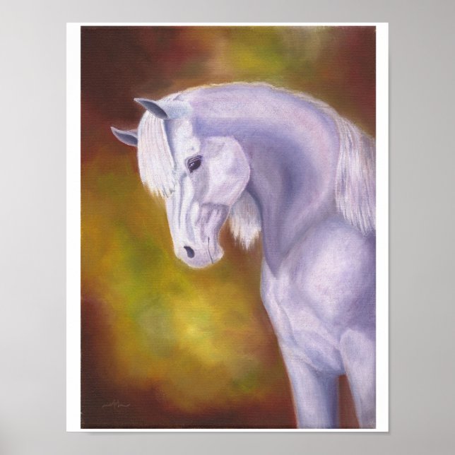 Grey Arabian mare print 11"x14" (Front)