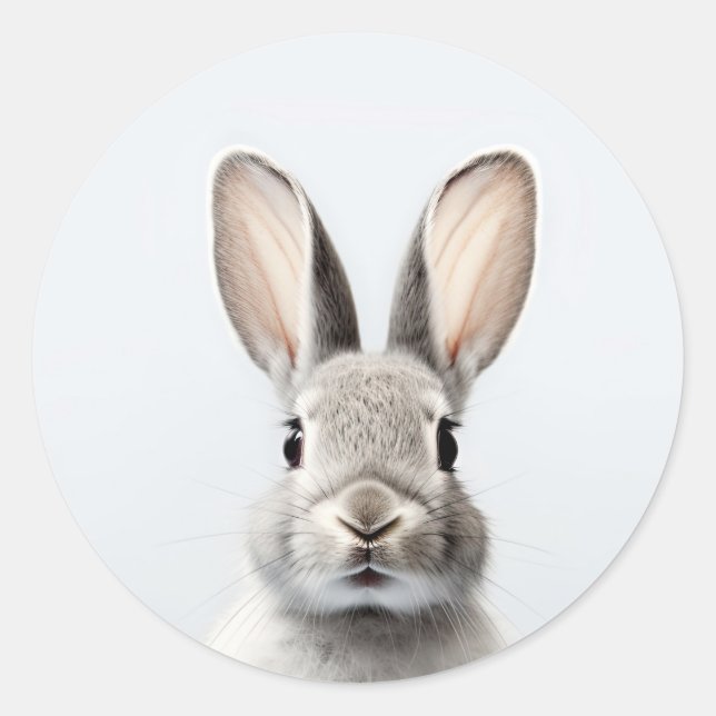 Grey Baby Rabbit Classic Round Sticker (Front)