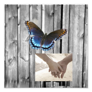 Grey Barn Wood BLue Butterfly Wedding Photo Print
