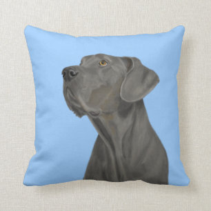 Grey Beautiful Great Dane on Blue Cushion