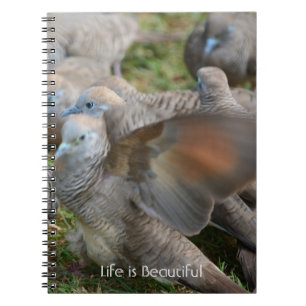 Grey Birds Kauai (my photography) Notebook