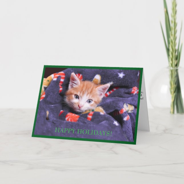 Grey Blanket Cat  Orange Kitten  Holiday Card (Front)