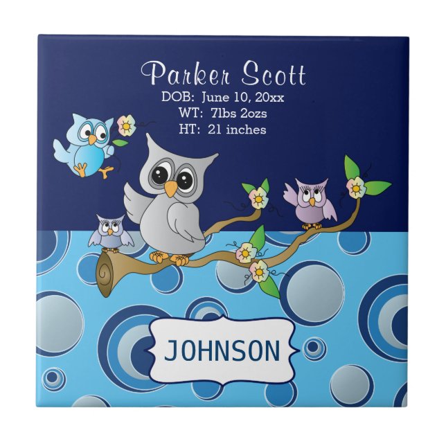Grey & Blue Baby Owl | Birth Information Tile (Front)