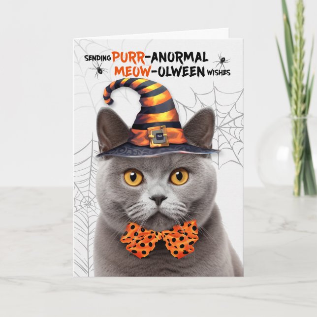 Grey British Halloween Cat PURRanormal MEOWolween Holiday Card (Front)