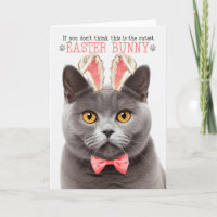 Grey British Shorthair Cat Bunny Ears for Easter