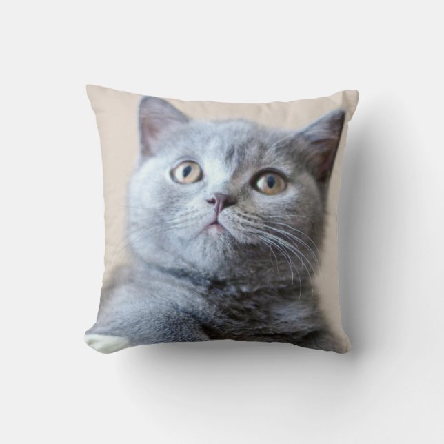 Grey British Shorthair Cat Cushion (Front)