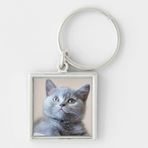 Grey British Shorthair Cat Key Ring