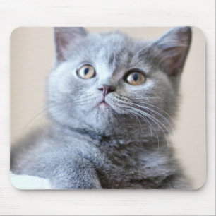Grey British Shorthair Cat Mouse Mat