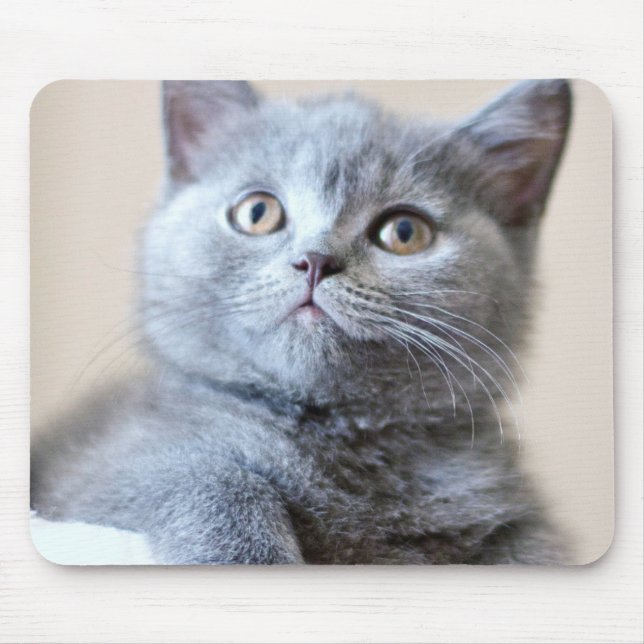Grey British Shorthair Cat Mouse Mat (Front)