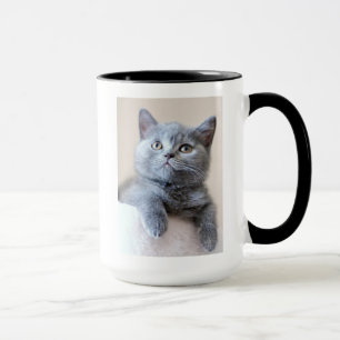 Grey British Shorthair Cat Mug