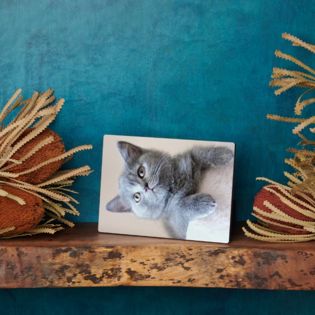 Grey British Shorthair Cat Plaque (Side)